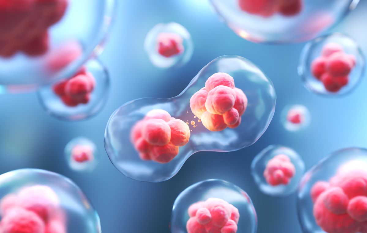 血清指数分析软件